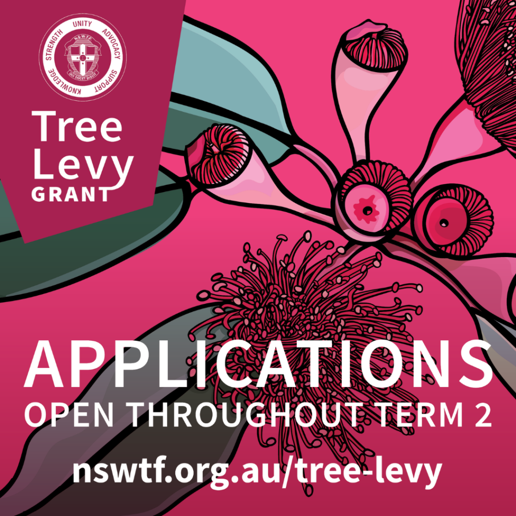 Poster announcing that applications are open for the Federation’s annual Tree Levy 2026.